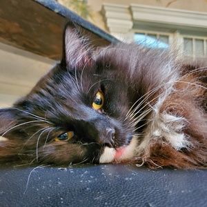 Meet your Posher, Julia